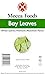 Bay Leaves – 0.5 oz | Whole Dried Laurel Leaves for Cooking | Aromatic Herb & Spice | Non-GMO, All-Natural, Premium Quality by Mecca Foods