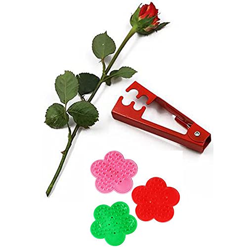 Nomal 3 Pieces Rose Thorn Stripper Tool Rose Flower Removing Burrs Pliers Remover Rose Leaves Stripping Tool Thorn Leaf Pruners Forceps For Flower Floral Arrangement cover