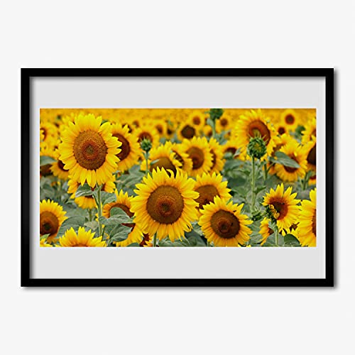 Affiche avec cadre de tournesols Tulup pour faire entrer la sérénité de la nature chez vous