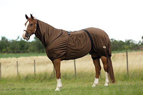 Camisa EQUI-THÈME "Anti-eczema", color gris claro marrón Talla:5'3" / 115 cm longueur de dos