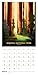 2027 The Art of the National Parks Wall Calendar