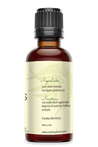 Eucalyptus globulus 2 oz - Aceite de Eucalipto Esencial miniatura 2