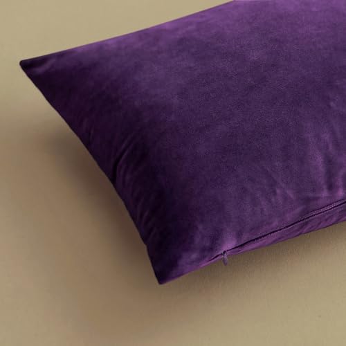 Image of MIULEE Velvet Throw Pillow Covers 16x16 Inch, Pack of 2 - Eggplant Purple, Super Soft Decorative Square Cushion Cases Modern Luxury Home Decor for Sofa,Couch,Bed,Chair