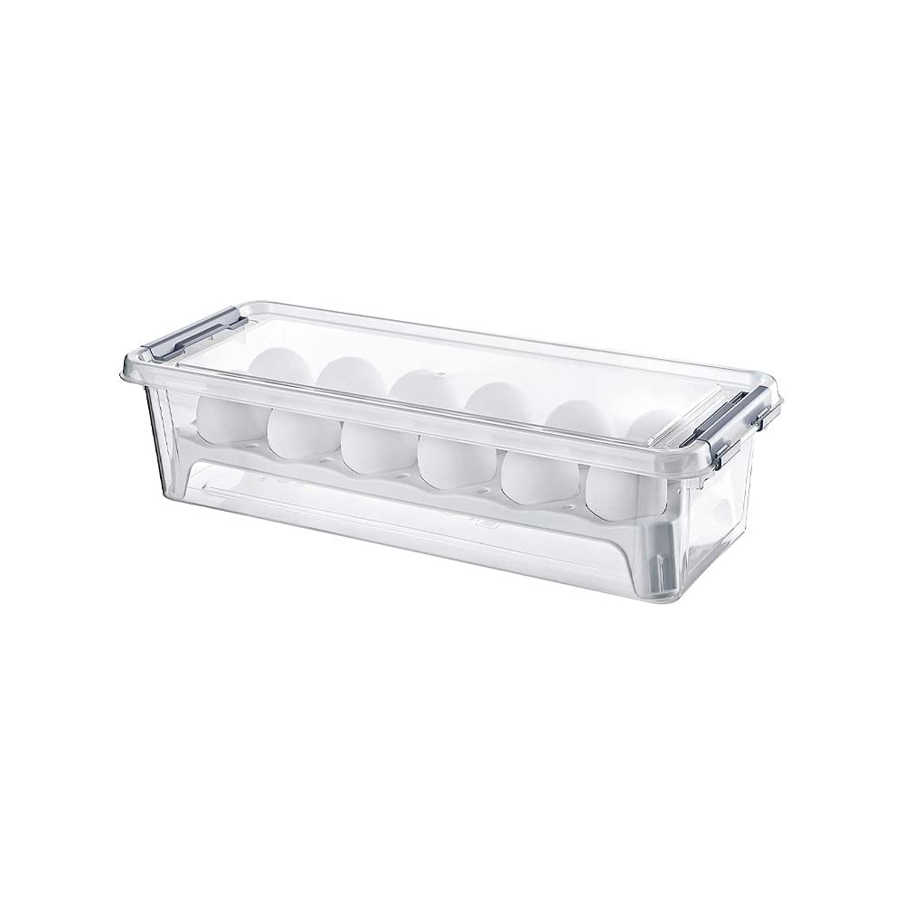 Cleany GenieCleaning Superstore Hobby Life Storage Box For 12 Eggs