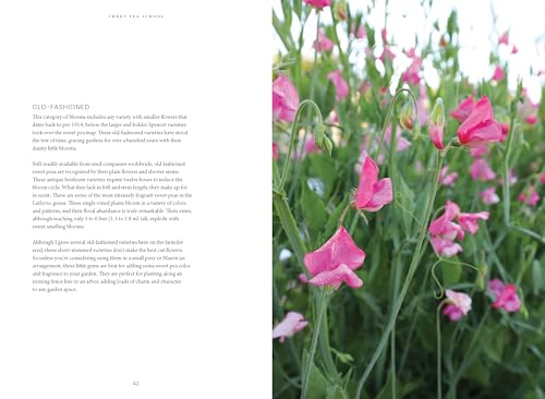 Sweet Pea School: Growing & Arranging the Garden's Most Romantic Blooms - Image 12