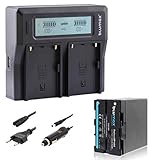 OPTIMALE KONTROLLE ✔ Auf dem Doppel-Ladegerät ist eine Display Anzeige enthalten, welche ausführliche Informationen über den Ladestand ihres Li-Ion-Akkus liefert.