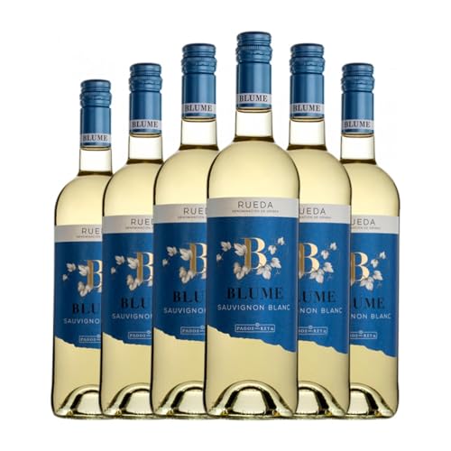 Pagos del Rey Blume Sauvignon Blanca Rueda 75 cl Vino blanco (Caja de 6 Botellas de 75 cl)