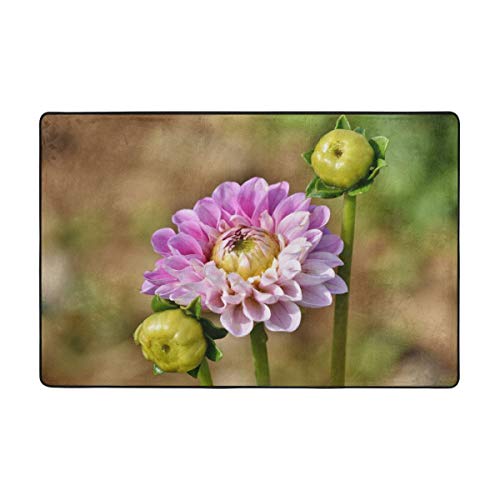 O O}bg    J[ybg 􂦂 ~ߕt h_j RۖhL  [΍ ӂӂ g[Ή Z^[O tl 킢 O~ ` k  90x60cm 180x120cm