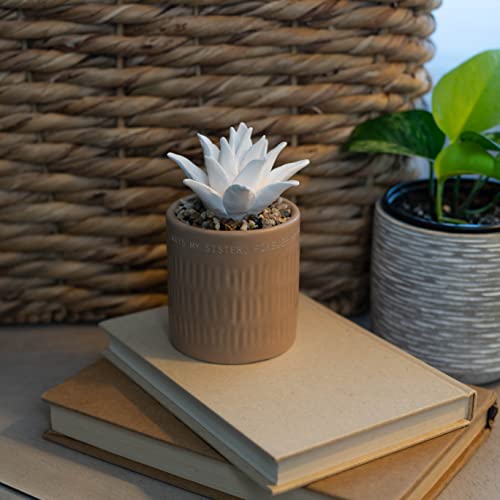 Demdaco Sister Forever My Friend Soft Tan Succulent 3 X 5 Stoneware Decorative Tabletop Oil Diffuser #TOP5