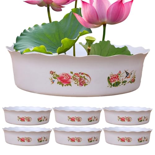 Ciotola per piantare narcisi, fioriera per pesci, supporto per piante grasse, ninfee, 6 pezzi, vaso per ninfee, vaso per ninfee