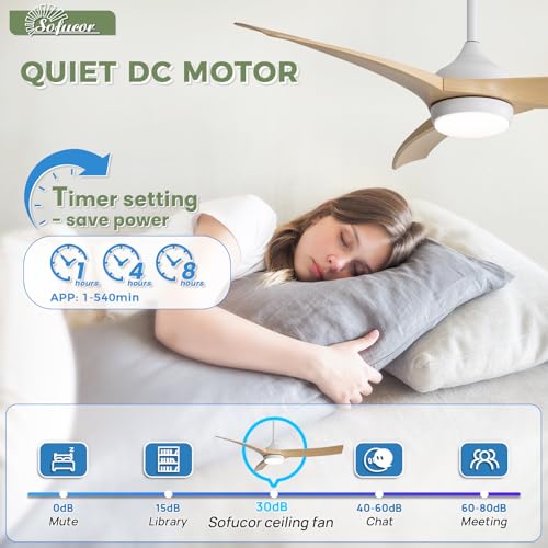Image of Sofucor 52 Inch Smart Modern Ceiling Fan with Light, 3 ABS Blades | Alexa /Google Assistant /APP /Remote Control, Reversible DC Motor, Timer, 6 Speeds, 3-CCT for Living Room Bedroom Patio