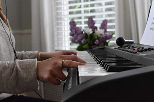 Alesis Melody 61 MKII – Clavier Électronique Portable 61 Touches avec des Enceintes Intégrées, Casque, Micro, Stand de… - Les Beatles, Paul McCartney, John Lennon, RIngo Starr, George Harrison Alesis Melody 61 MKII - Clavier Électronique Portable 61 Touches avec des Enceintes Intégrées, Casque, Micro, Stand de… – Image 5