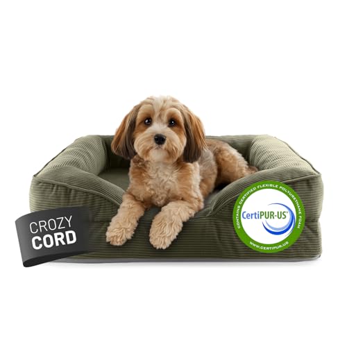 Lumaland orthopädisches Hundebett aus Cord | ergonomisches Hundesofa 70x60 cm - für kleine Hunde | Boden rutschfest | Füllung und Bezug waschbar | Hundekörbchen mit Memory Schaumstoff