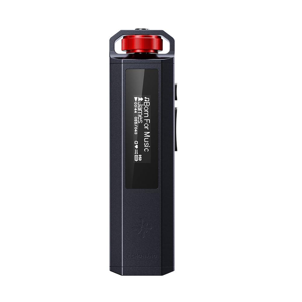 Amazon.com: FiiO SNOWSKY Echo Nano Retro HiFi Music Player with