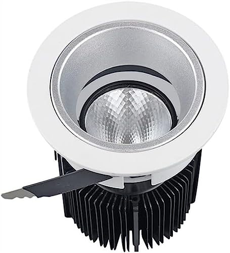 SSDDLZEQ Iluminación Robusto COB LED Anti-Hyun Hotel Spotlight Downlight Luz de techo incorporada for sala de estar Comedor Iluminación AC100-240V(3000k,10W)