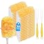30+2 Pack-unscented(360°& Orange)