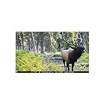 Browning-Trail-Cameras-Dark-Ops-Extreme-Camera