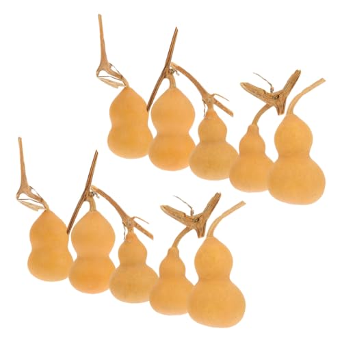 Healifty 10 Pezzi Zucche Ornamentali Naturali Mini da 4-6 Cm, Decorazioni Artigianali per Casa, Ufficio e Negozio, Leggero e Facile da Posizionare, Idee Regalo Simboliche