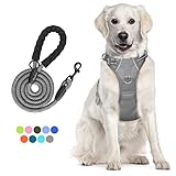 PoyPet No Pull Dog Harness and 5 Feet Leash Set, Release on Neck Reflective Adjustable Pet Vest, Front & Back 2 D-Ring and Soft Padded Pet Harness with Handle for Small to Large Dogs(Grey,L)