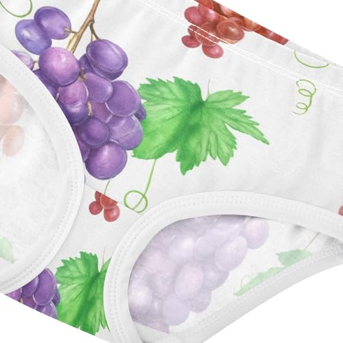 Funny Girls Underwear Toddler 2t Cotton Girl Panties Cute Purple Red Grapes Green Leaves Briefs Girls Undies4