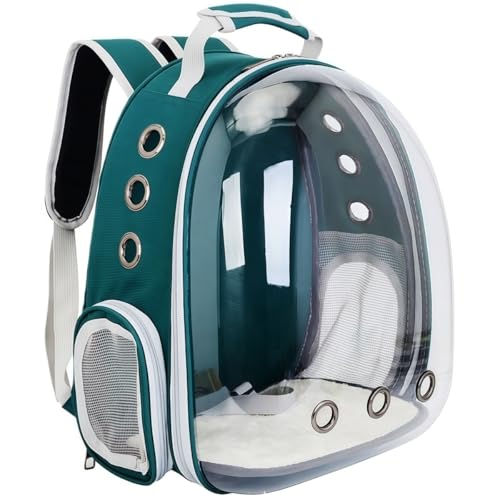 YQYQY FDfUC ybgbN y e L ^ L[obO  h[ ʋC UVJbg ܂肽 RpNg bNTbN  nX^[  o ʉ@ s ԍ h  ybgJtF nEX 