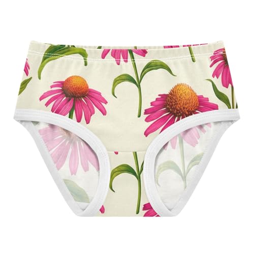 Girls Underwear Toddler 2t Cotton Panties for Girl Fun Print Briefs Kids Undies Pink Coneflowers Light Cream