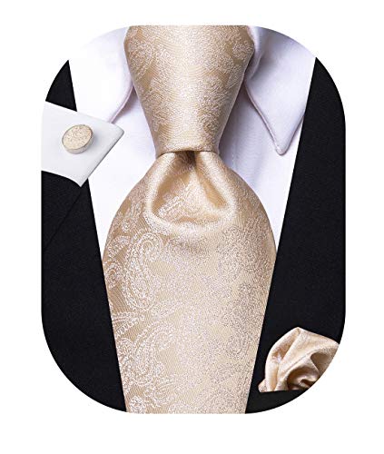 Hi-Tie Champagne Khaki Tie Paisley Silk Mens Neckties with Pocket Square Cufflinks for Wedding Business Party