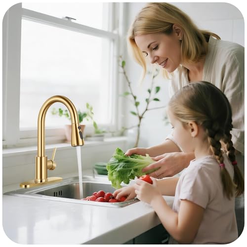 Image of Kitchen Faucet with Pull Down Sprayer - Brushed Gold Single Handle Kitchen Faucets, High Arc Stainless Steel Pull Out Kitchen Sink Faucet with Deck for RV Laundry Farmhouse Bar