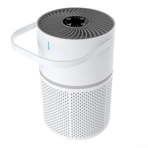 Purificador de Aire Filtro Hepa y Carbón Activo Marca FortunateSweet