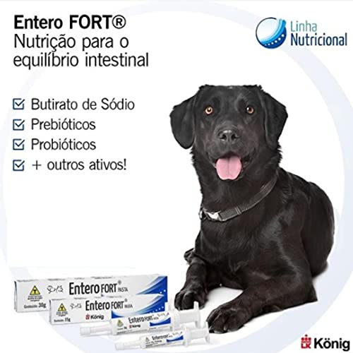 ENTERO FORT PASTA 15G - Suplemento alimentar simbiótico para a manutenção do bom funcionamento do tr
