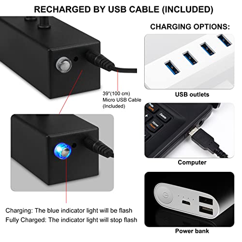 Raifoolly Picture Light, 16In Battery Operated Picture Lights For Paintings,Metal Remote Control Display Art Light With Timer And Dimmable For Wall Painting,Frame, Portrait, Dartboard(Black) #TOP4