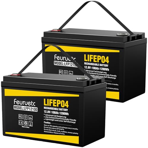 2 Pack 12V 100Ah LiFePO4 Deep Cycle Lithium Battery – 15000+ Cycles Solar Battery for Off-Grid...