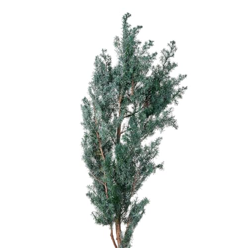 ��n�_�� �q�����X�M �V���o�[�O���[�� ��L45�`55cm DO001321-790 60g����