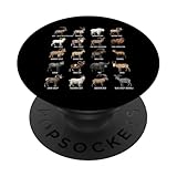 Liebhaber der Wissenschaft zwischen Wilden Bergziegen, Schafen und Steinböcken PopSockets Klebender PopGrip