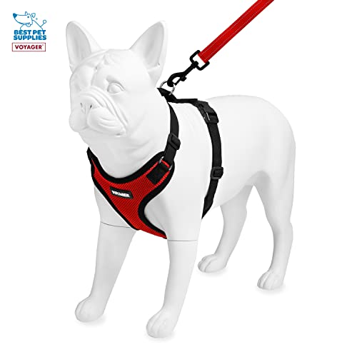 Image of Best Pet Supplies Voyager Step-in Lock Pet Harness w Reflective Pet Leash Combo Set with Neoprene Handle 5ft - Supports Small, Medium and Large Breed Puppies /Cats - Red /Black Trim, XS
