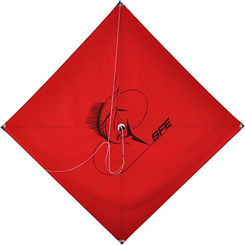 SFE Ultimate Kite 5-25MPH