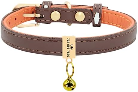 cat collar with nameplate