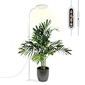 GLOWRIUM Grow Lights for Indoor Plants, 20W Full Spectrum LED Grow Light Floor Lamp with Stand Adjustable Height and Angle, Black Plant Light with 3/9/12H Timer White