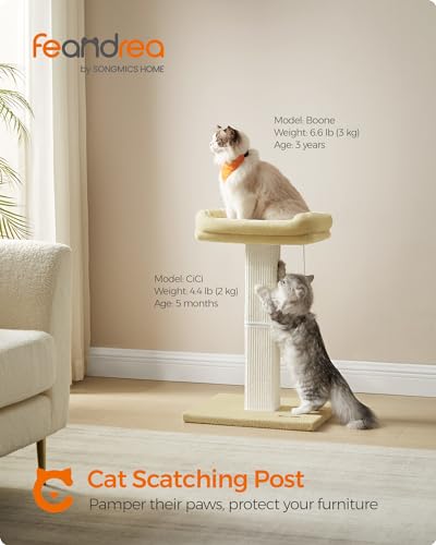 Feandrea Cat Scratching Post, Cat Tree with 40 x 30 cm Plush Perch, 71 cm Tall Scratch Post, Woven Sisal, 45 x 40 cm Base, Pompom, Beige - Image 3