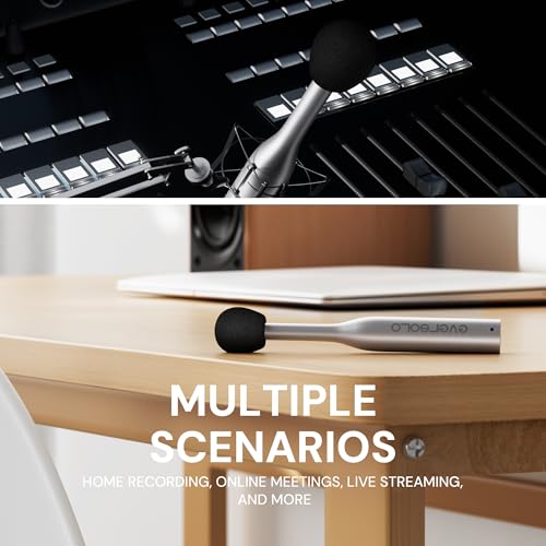Image of EVERSOLO EM-01 Measurement Microphone,Omnidirectional Calibrated Microphone, for Measurement REW, Dirac&More, Acoustic Calibration, Home Recording, Online Meetings, Live Streaming,