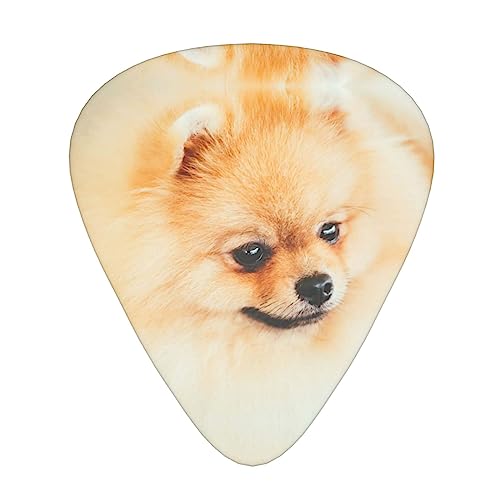 Lot de 12 médiators jaunes de Poméranie avec boîte pour ukulélé guitare électrique basse - Les Beatles, Paul McCartney, John Lennon, RIngo Starr, George Harrison Lot de 12 médiators jaunes de Poméranie avec boîte pour ukulélé guitare électrique basse