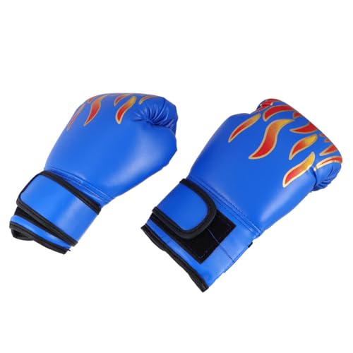 Gogogmee p{NVOO[u Ή y ʋC ϖՐg[jO~bg iZ LbN{NVO  Kp _J[