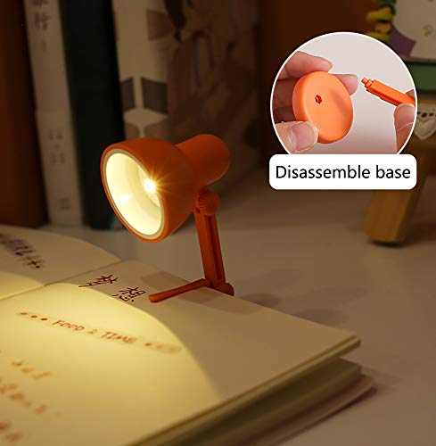 View 4