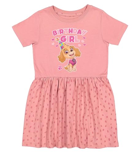 Tstars Birthday Girl Paw Patrol Skye 3rd Dress Infant Toddler Fine Jersey Dress 4T Mauvelous Spot