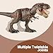 HAYXUN T Rex Action Figure Dinosaur Toys for Kids- Tyrannosaurus Rex Toy with Continuing Head Strike, Snapping Chomp Attack, Roar Sound, Light Up, Tail Flick Attack, Birthday, for Kids 3-8