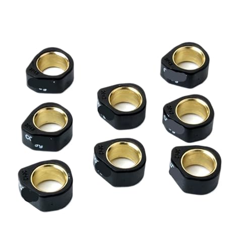 8�s�[�X ���[�V���O���[���[�E�F�C�g 20x12mm 9g 11g 13g 16g �G�C�v����-a Leon-rdo ST 250 1999-2004�p(20x12mm 9g)