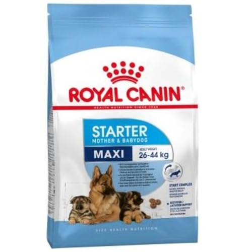 ROYAL CANIN Maxi Starter Mother & Babydog - 15 kg