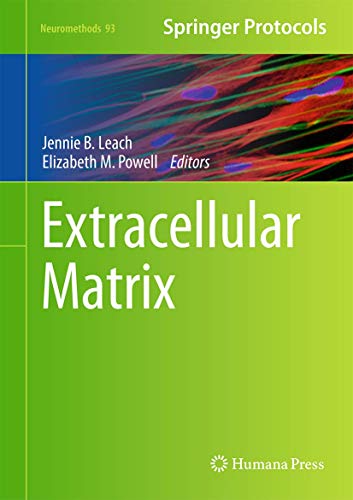 Extracellular Matrix view 2