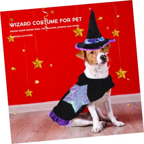 Disfraz de Hechicero para Perros Talla L Halloween miniatura 5