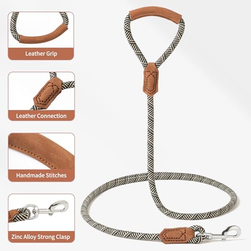 Laisse pour chien solide avec fermeture robuste contre les tractions brusques - 5